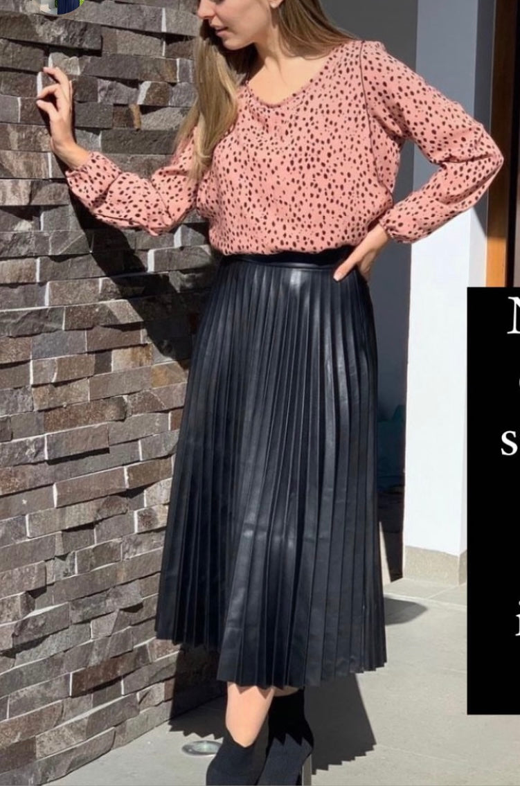 Blusa de Lactancia, Daniela dálmatas CH y G