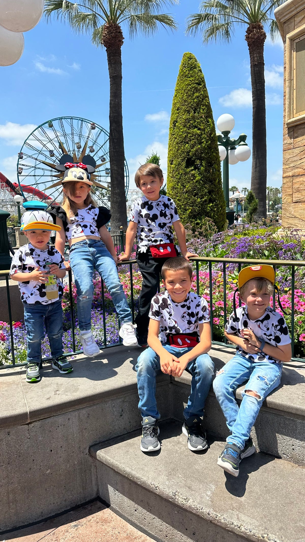 Matching familia mickeys